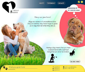 Home Page Edited