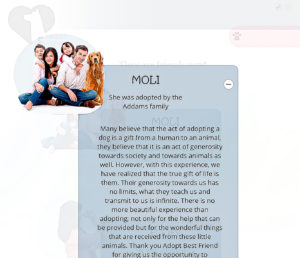 Testimony Page Edited